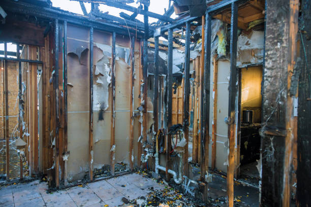Professional Fire Damage Removal technician working in McCaysville, GA
